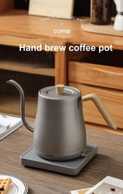 110V/220V Electric Kettle Hand Brew Coffee Pot Slender Mouth Pot Gooseneck Jug Teapot Home 304 Stainless Steel Kettle 1000W