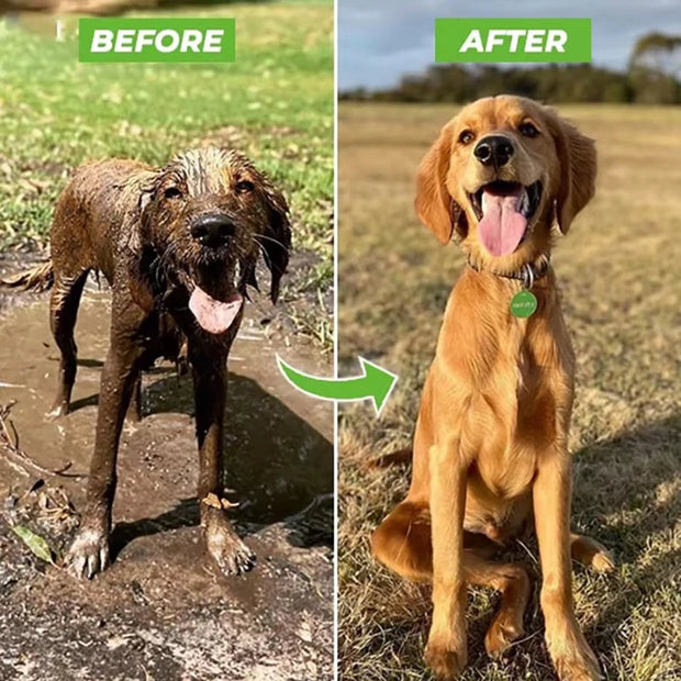 Hogedrukspuit Slang Hondendouchepistool 3 Modi Verstelbare Huisdier Wassen Reinigingsbad Water Schuim Zeep Spuit Hond Reinigingsgereedschap